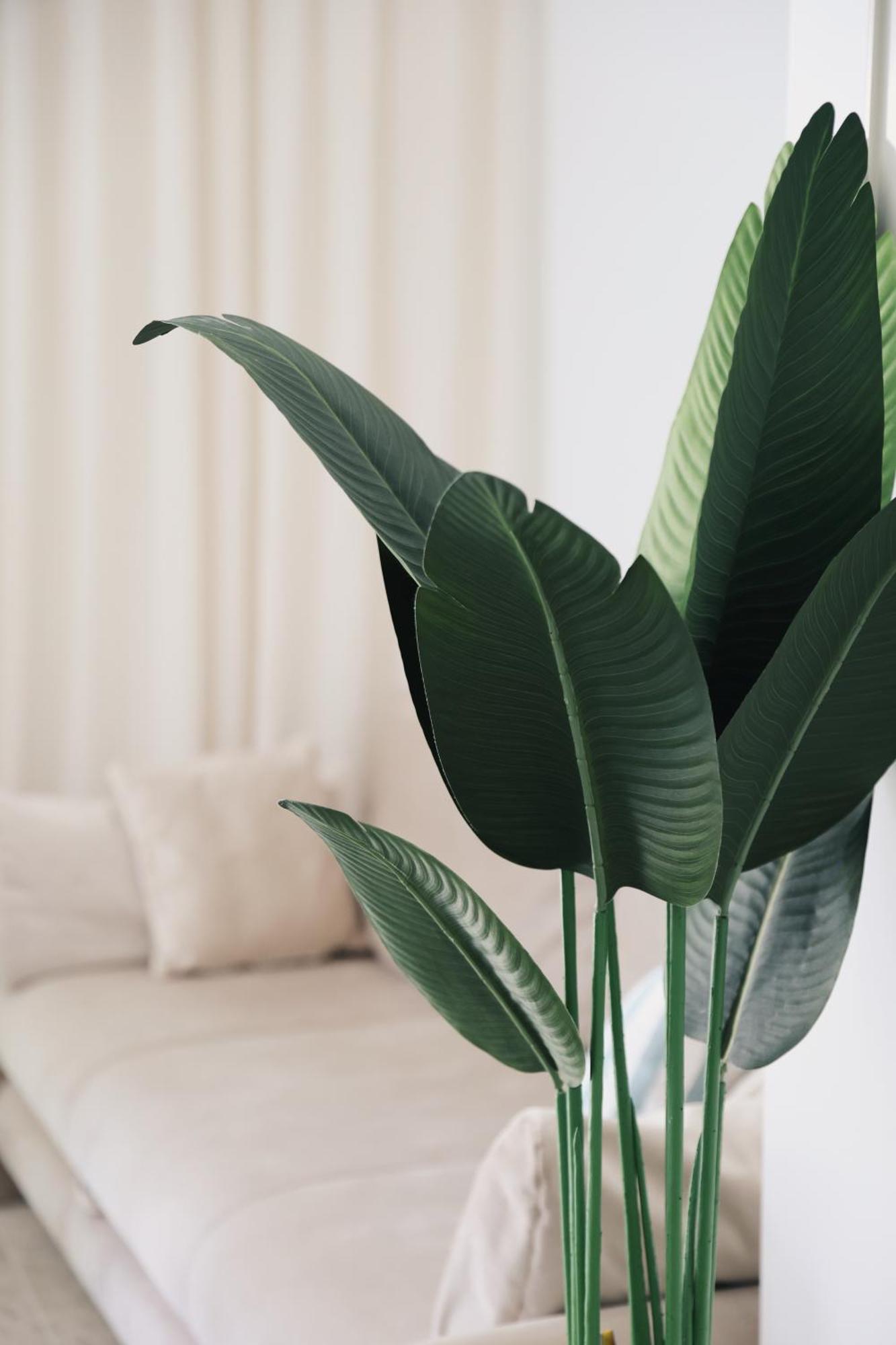 Apartman M&K Dubrownik Zewnętrze zdjęcie